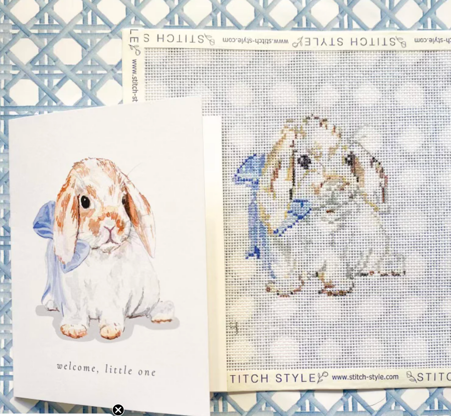 Emily Quigley: Bunny with Blue Bow