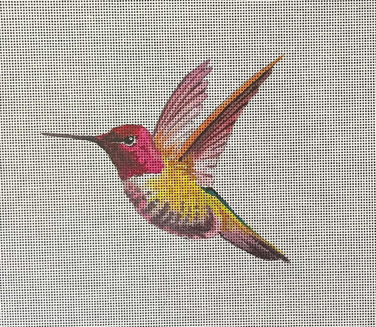 Yellow Hummingbird