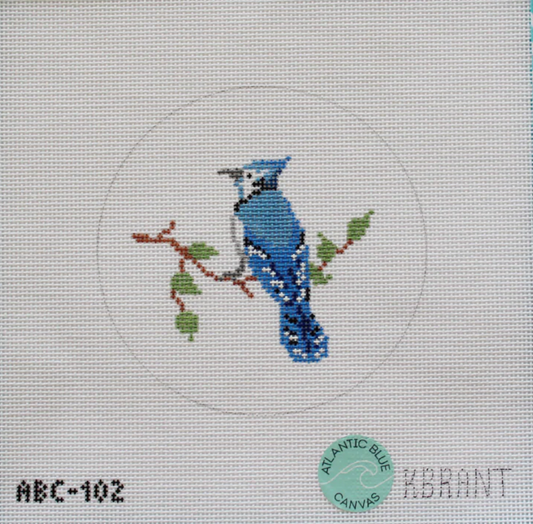 Blue Jay