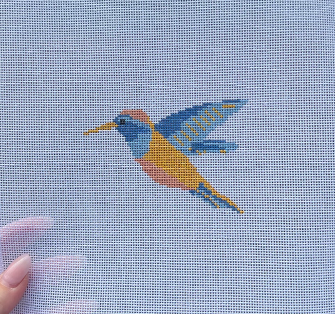 Colorful Hummingbird